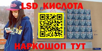 индика Усть-Джегута
