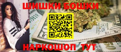 индика Усть-Джегута