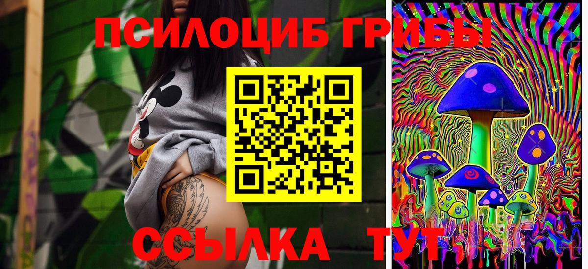 Галлюциногенные грибы прущие грибы Холмск