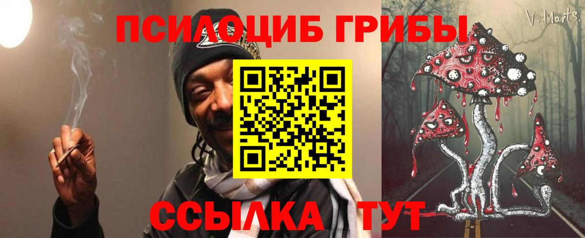 Псилоцибиновые грибы Cubensis  Вход с VPN  Галлюциногенные грибы мухоморы  Холмск 